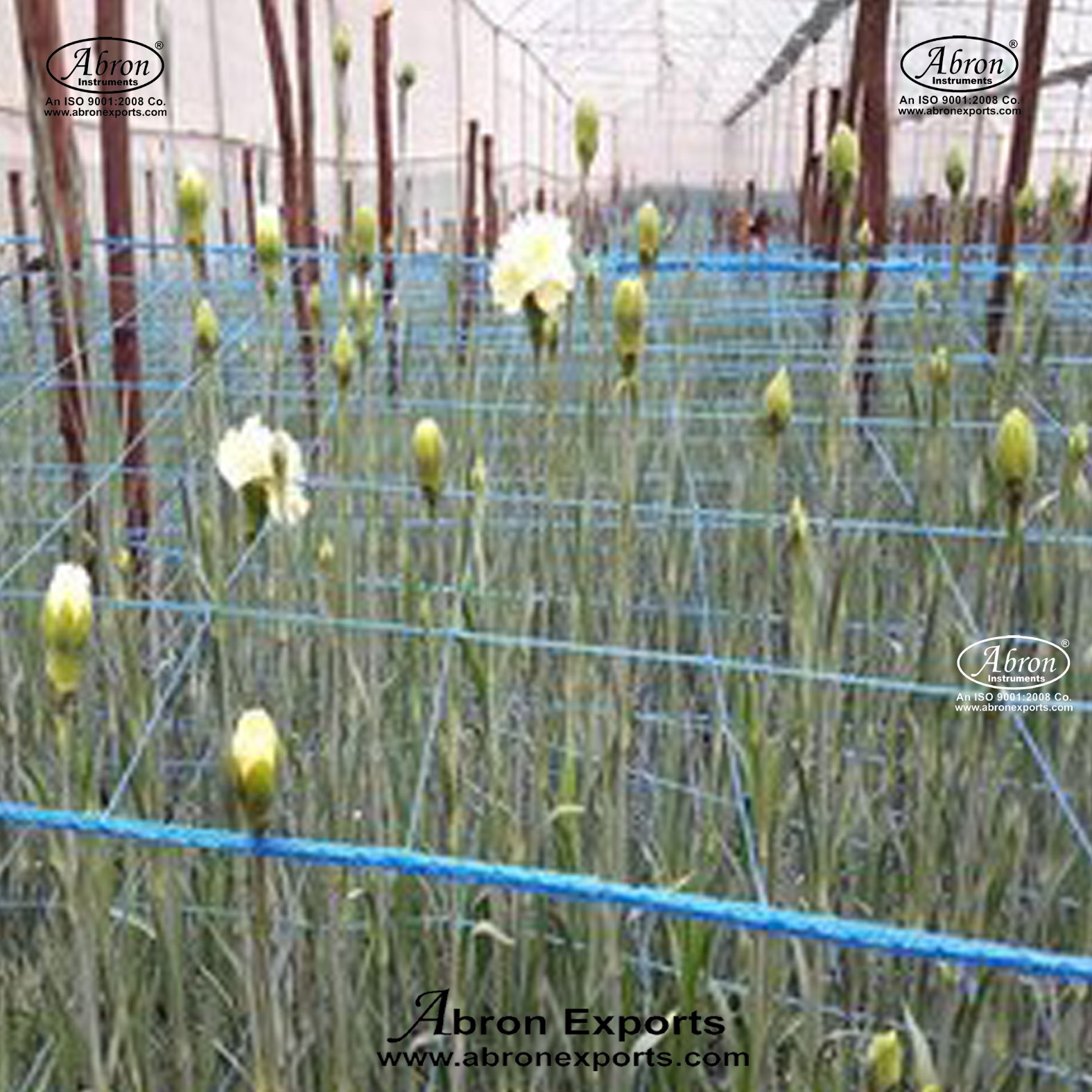 Net Carnation Net Blue 100 mm 4 Inch Sqr Thickness 1.5mm Agro Agriculture Abron minimum 500 square feet AG-3213B