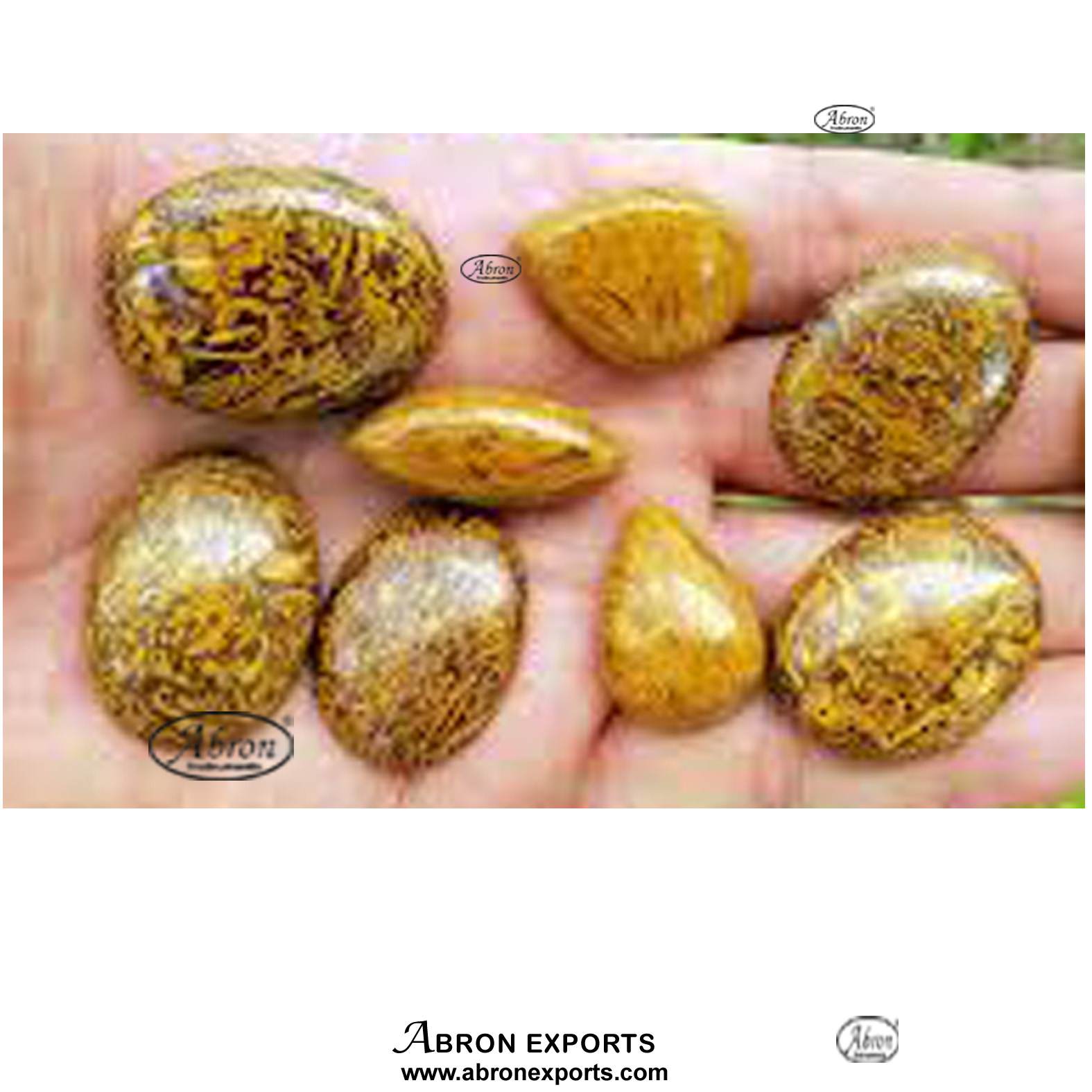Stone rock sample Coquina Jasper ARC-51-23J