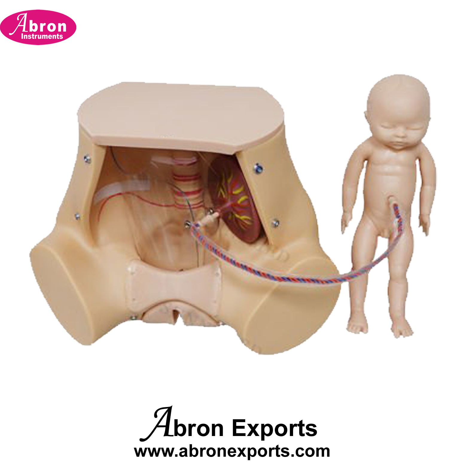 Nursing Training Kit Child Birth Skill Training Simulator Inside View ...