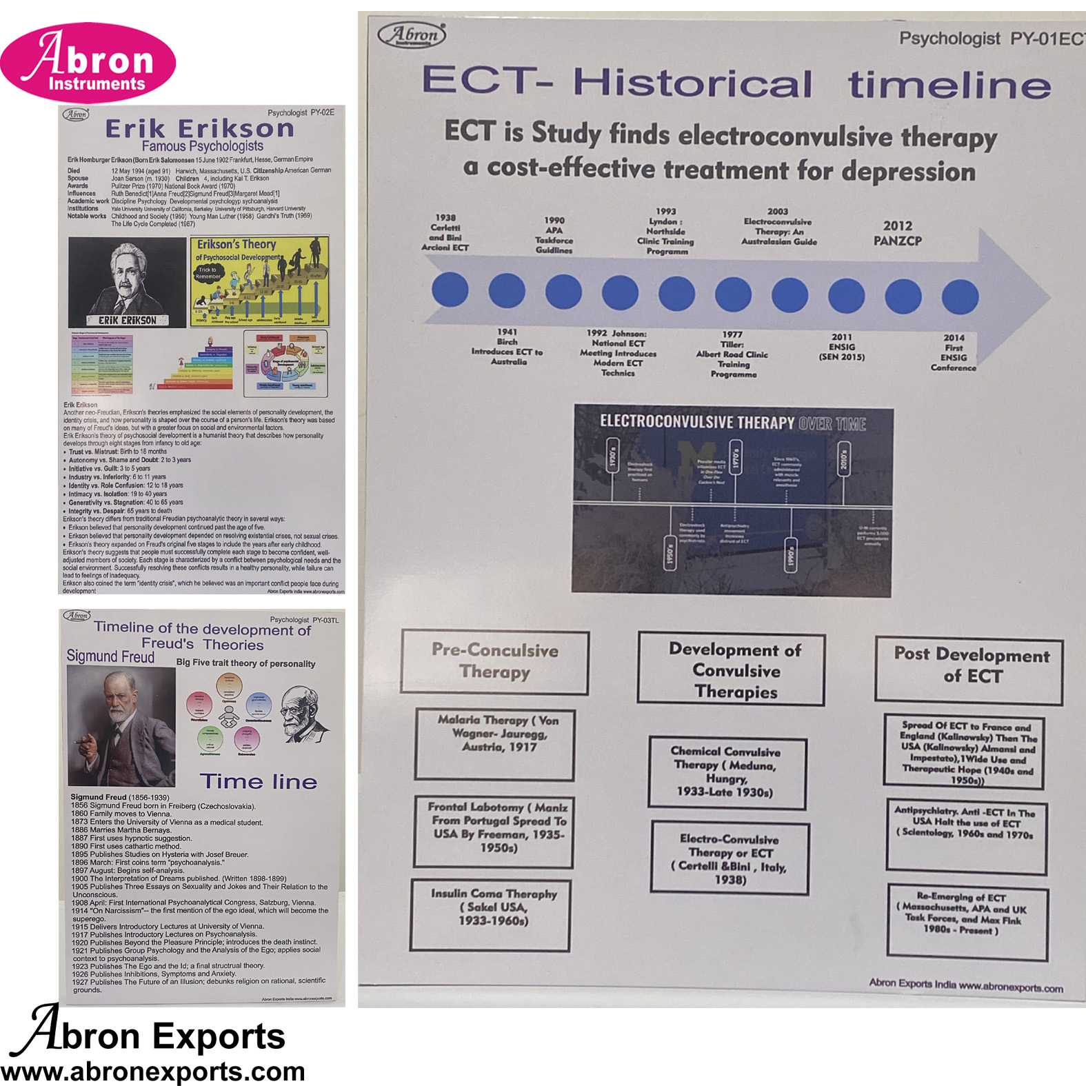 Photos Poster Psychiatry Lab set of 3 ECT-Historical Timeline ...